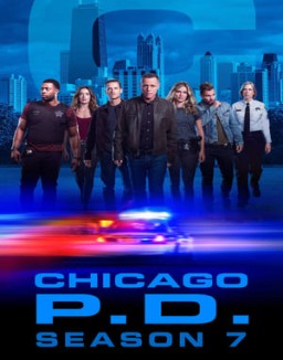 ver Chicago P.D. temporada 7 serie gratis