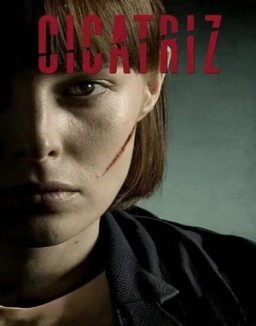 ver Cicatriz - Temporada 1 online