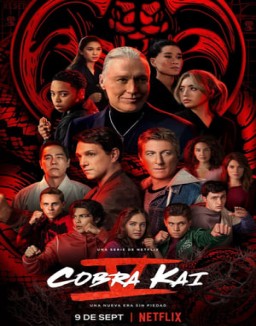 ver Cobra Kai temporada 1 serie gratis