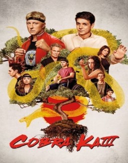 ver Cobra Kai temporada 3 serie gratis