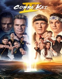 ver Cobra Kai temporada 4 serie gratis