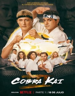 ver Cobra Kai - Temporada 6 online