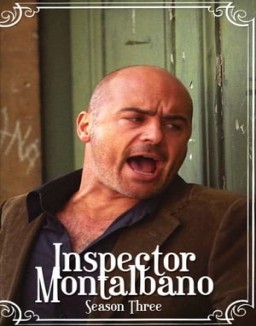 ver Comisario Montalbano - Temporada 3 online