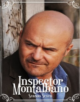 ver Comisario Montalbano - Temporada 7 online