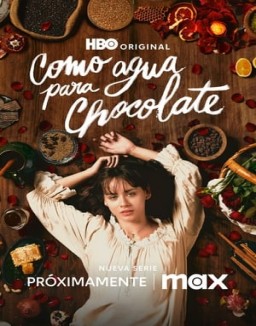 Regarder Como agua para chocolate - Temporada 1 online
