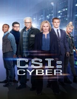 ver CSI: Cyber - Temporada 1 online