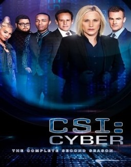 ver CSI: Cyber - Temporada 2 online