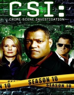 ver CSI: Las Vegas - Temporada 10 online