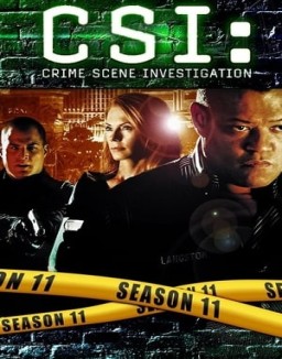 ver CSI: Las Vegas - Temporada 11 online
