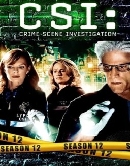 ver CSI: Las Vegas - Temporada 12 online