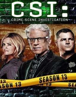 ver CSI: Las Vegas - Temporada 13 online