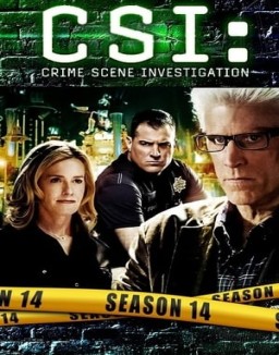 ver CSI: Las Vegas - Temporada 14 online