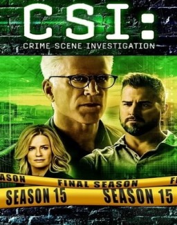 ver CSI: Las Vegas - Temporada 15 online