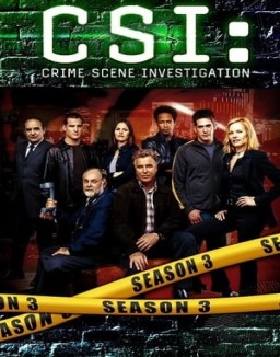 ver CSI: Las Vegas - Temporada 3 online