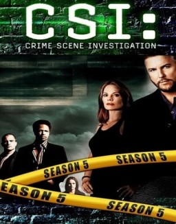 ver CSI: Las Vegas - Temporada 5 online