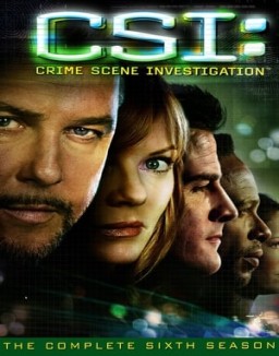 ver CSI: Las Vegas - Temporada 6 online