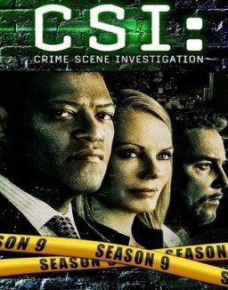 ver CSI: Las Vegas - Temporada 9 online