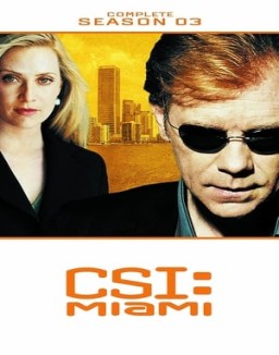 ver CSI: Miami - Temporada 3 online