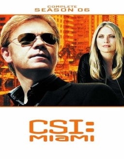 ver CSI: Miami - Temporada 6 online