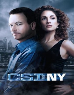 ver CSI: Nueva York - Temporada 1 online