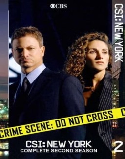ver CSI: Nueva York - Temporada 2 online
