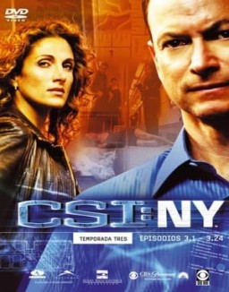 ver CSI: Nueva York - Temporada 3 online