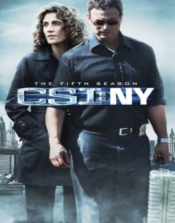 ver CSI: Nueva York - Temporada 5 online
