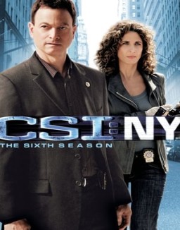 ver CSI: Nueva York - Temporada 6 online
