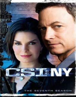 ver CSI: Nueva York - Temporada 7 online