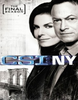 ver CSI: Nueva York - Temporada 9 online