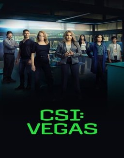 ver CSI: Vegas temporada 1 serie gratis