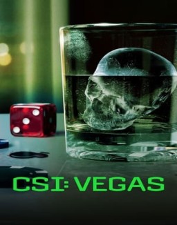 ver CSI: Vegas - Temporada 3 online