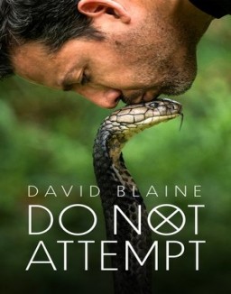 ver David Blaine Do Not Attempt - Temporada 1 online