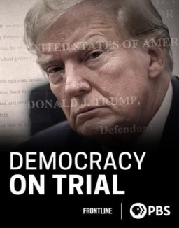 ver Democracia en riesgo - Temporada 1 online