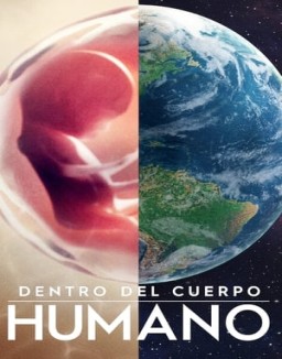 ver Dentro del cuerpo humano - Temporada 1 online