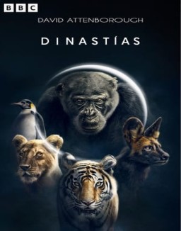 ver Dinastías - Temporada 1 online