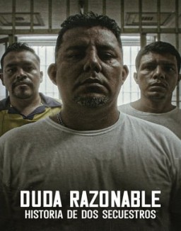 ver Duda razonable: Historia de dos secuestros - Temporada 1 online