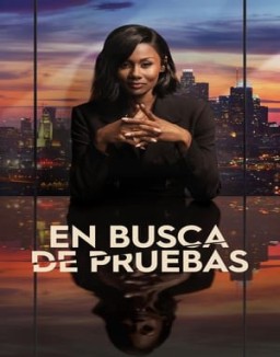 ver Duda razonable - Temporada 1 online