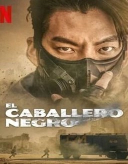 ver El caballero negro - Temporada 1 online