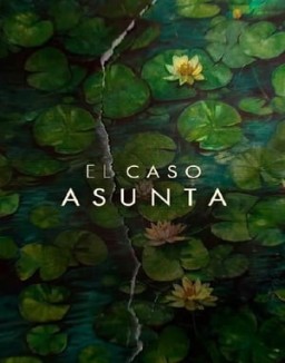 ver El caso Asunta - Temporada 1 online