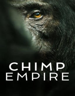 ver El imperio de los chimpancés - Temporada 1 online