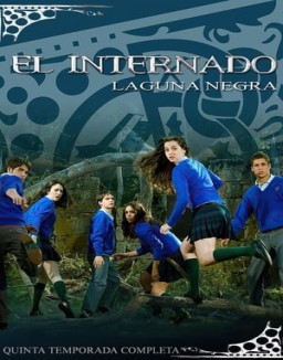 ver El internado - Temporada 5 online