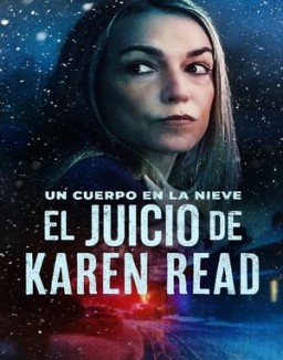 ver El Juicio de Karen Read - Temporada 1 online