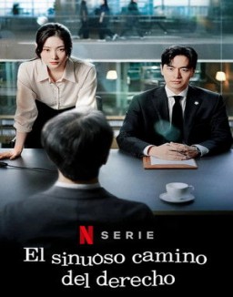 ver El sinuoso camino del derecho - Temporada 1 online