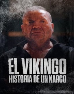 ver El Vikingo: Historia de un narco - Temporada 1 online