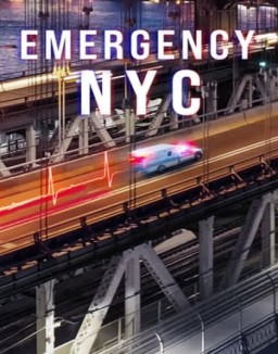 ver Emergencias: Nueva York - Temporada 1 online