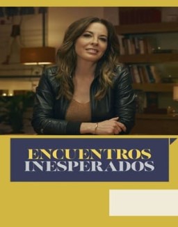 ver Encuentros inesperados - Temporada 1 online