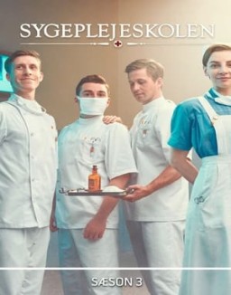 ver Escuela de enfermería temporada 3 serie gratis