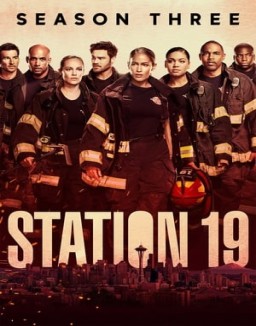 ver Estación 19 - Temporada 3 online