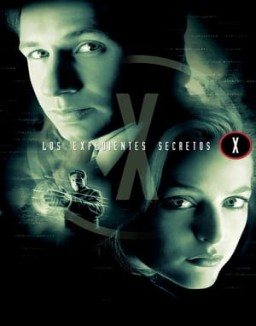 ver Expediente X - Temporada 1 online